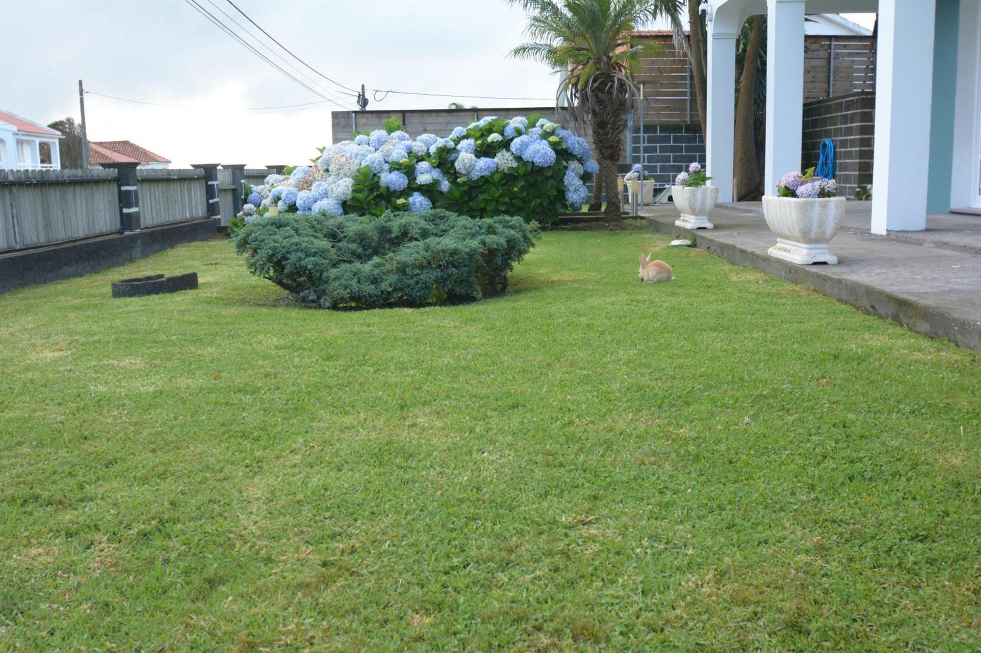Casinha Das Hortensias Apartment Horta  Exterior foto