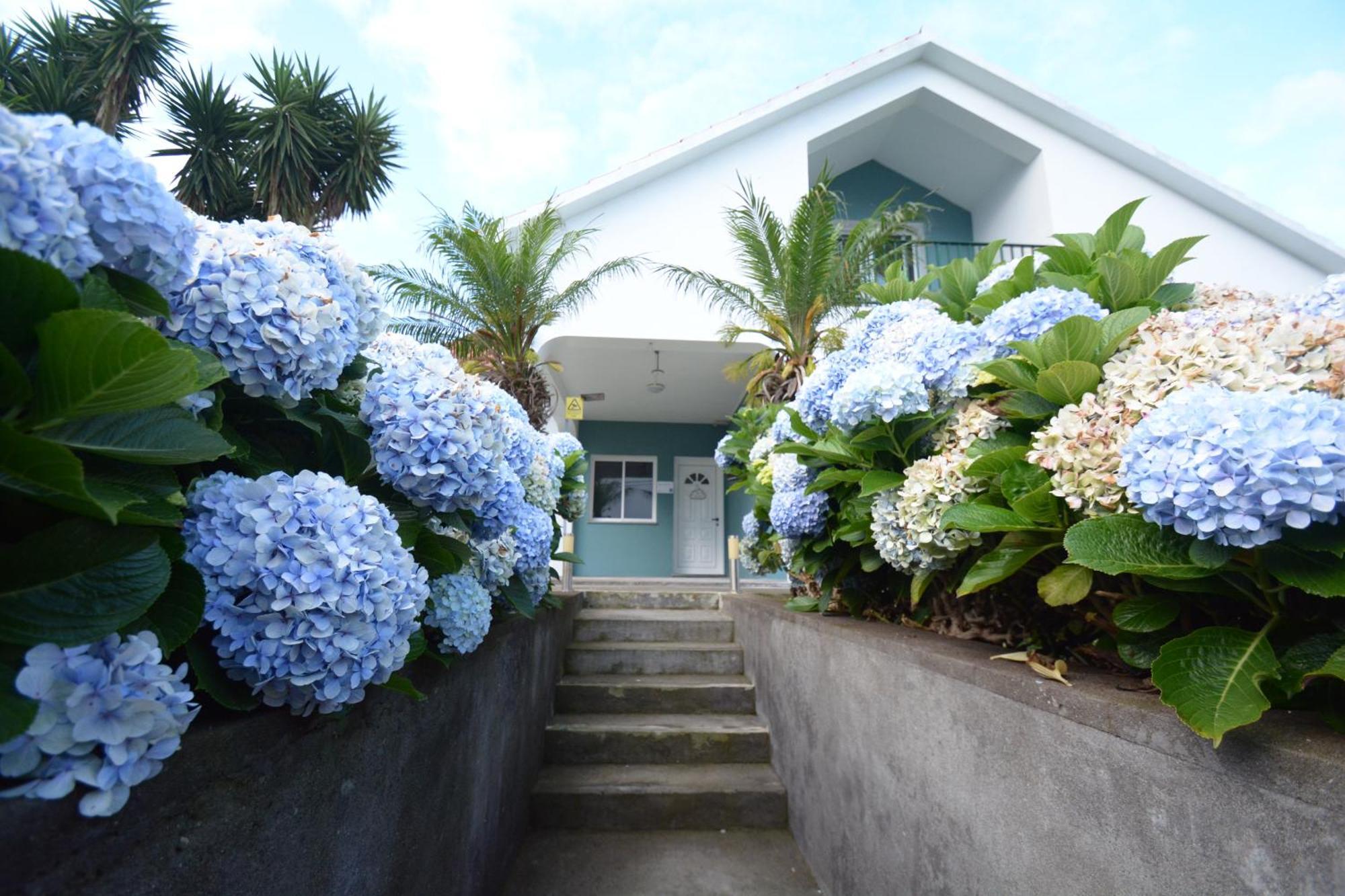 Casinha Das Hortensias Apartment Horta  Exterior foto