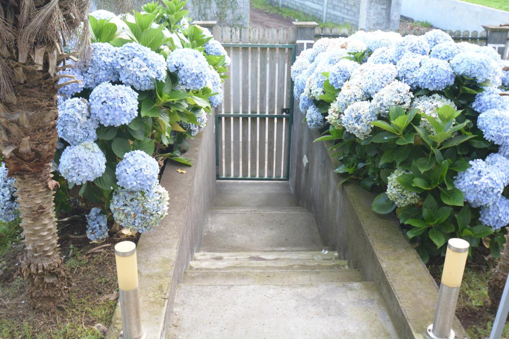 Casinha Das Hortensias Apartment Horta  Exterior foto